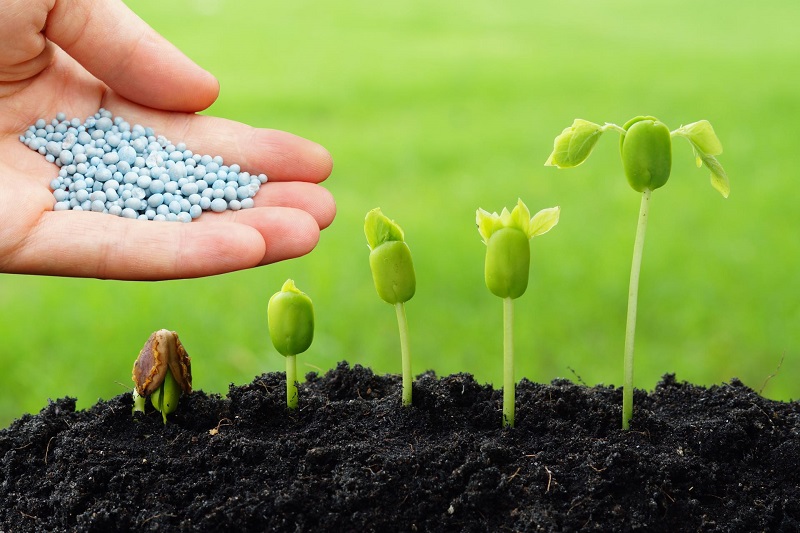 Tuyên bố quan trọng về Chính sách xuất khẩu phân bón năm 2026 của Trung Quốc